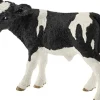 SCH13798 Holstein calf