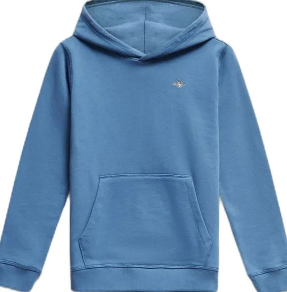 Shield Hoodie