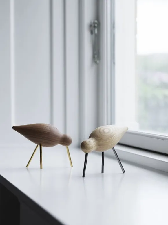 Shorebird lille sort