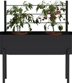 Simply Grow Espalier til plantekasse
