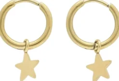 Small hoop earrings with star charm