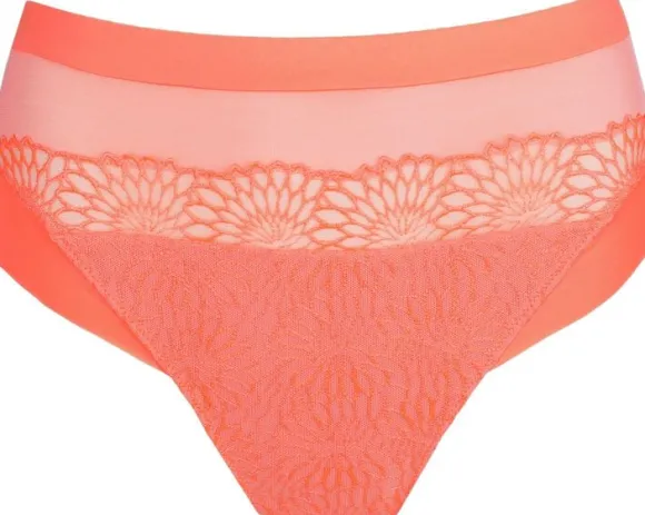 Sophora full briefs