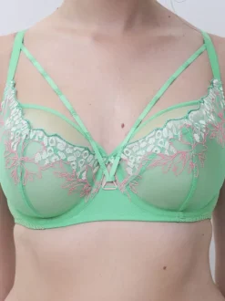 Spice Covering Bra