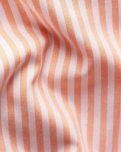 Striped Signature Oxford Shirt
