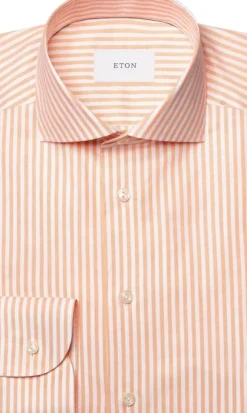 Striped Signature Oxford Shirt