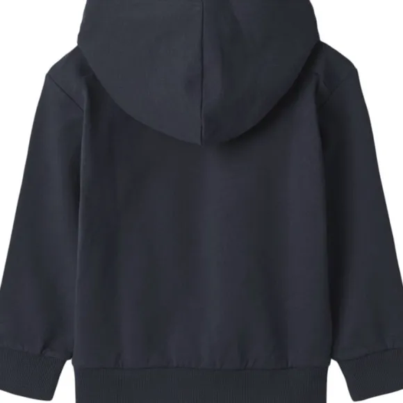 Sweatshirt Rumvaskebjørn