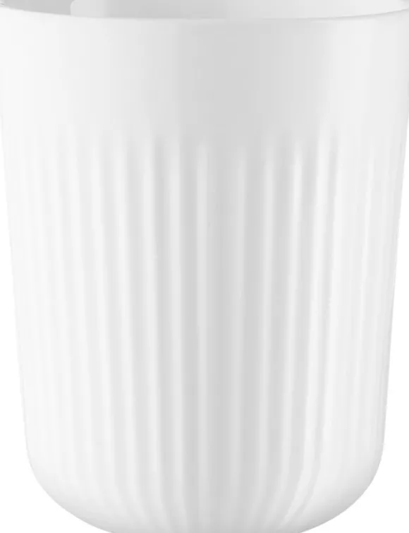 Termomugg 31cl Nova