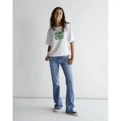 Texas Low Flare Vintage Blue
