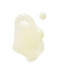 The Shroom Essence Multi-depth hydration fluid
