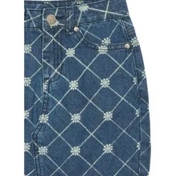 TNStine Denim Skirt