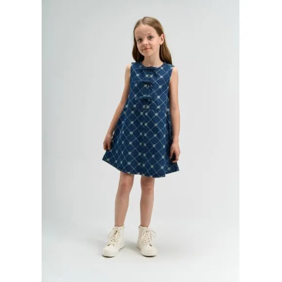 TNStine S_L Denim Dress
