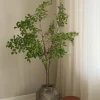 Tropical Almond