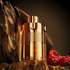 Wanted Forever Elixir