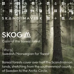 Wash Refill SKOG 1L