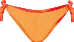 Waverly Bikini Briefs