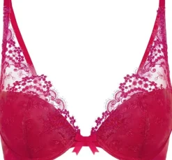 WISH Plunging push-up bra